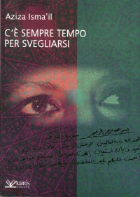 Immagine copertina libro C'è sempre tempo per svegliarsi