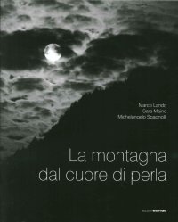 Immagine copertina libro La montagna dal cuore di perla