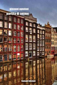 Immagine copertina libro Partita di anime