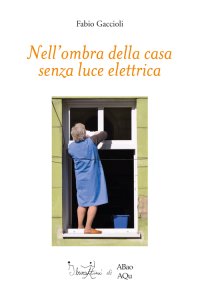 Immagine copertina libro Nell'ombra della casa senza luce elettrica