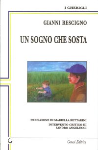 Immagine copertina libro Un sogno che sosta