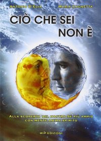 Immagine copertina libro Ciò che sei non è. Alla scoperta del nostro sé più ampio con mente anima spirito