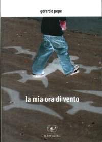 Immagine copertina libro La mia ora di vento