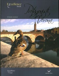 Immagine copertina libro Protagonisti a Verona. Trentatrè storie veronesi
