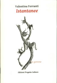 Immagine copertina libro Istantanee