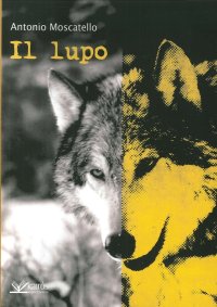 Immagine copertina libro Il lupo