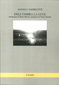 Immagine copertina libro Dell'ombra la luce