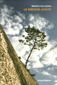 Immagine copertina libro Le discese ardite