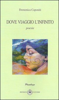 Immagine copertina libro Dove viaggio l'infinito