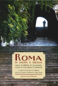 Immagine copertina libro Roma in salita e in discesa