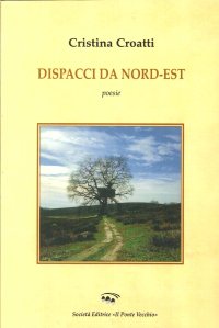 Immagine copertina libro Dispacci da Nord-Est