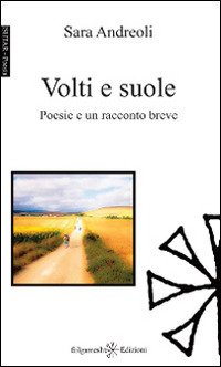 Immagine copertina libro Volti e suole
