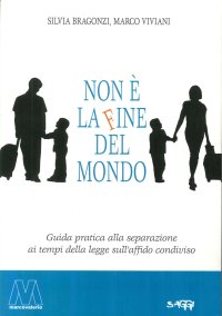 Immagine copertina libro Non è la fine del mondo. Guida pratica alla separazione ai tempi dell'affido condiviso
