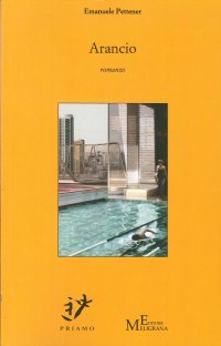 Immagine copertina libro Arancio