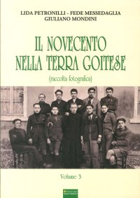 Immagine copertina libro Il Novecento nella terra goitese. Ediz. illustrata. Vol. 3
