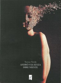 Immagine copertina libro Andrò via senza dire niente