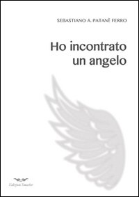 Immagine copertina libro Ho incontrato un angelo