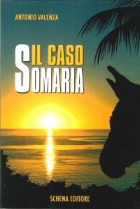 Immagine copertina libro Il caso Somaria