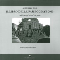 Immagine copertina libro Il libro delle passeggiate 2013