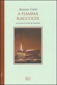 Immagine copertina libro A fiamma raccolta