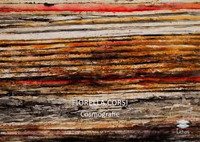 Immagine copertina libro Cosmografie. Ediz. italiana e inglese