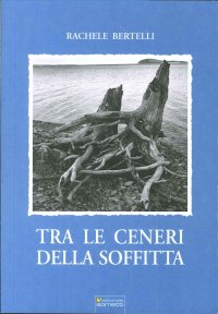 Immagine copertina libro Tra le ceneri della soffitta