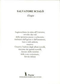 Immagine copertina libro Elegie