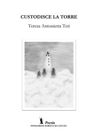 Immagine copertina libro Custodisce la torre