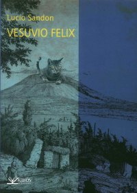 Immagine copertina libro Vesuvio felix