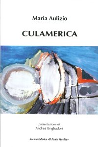 Immagine copertina libro Culamerica