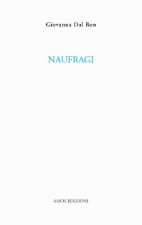 Immagine copertina libro Naufragi