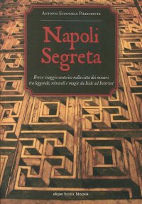 Immagine copertina libro Napoli segreta. Breve viaggio esoterico nella città dei misteri tra leggende, miracoli e magie