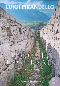 Immagine copertina libro Berecche, la guerra e... Erba del nostro orto