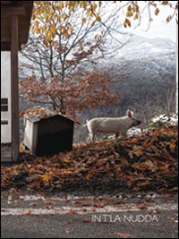 Immagine copertina libro In t'la nudda. Ediz. illustrata