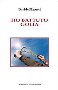 Immagine copertina libro Ho battuto Golia