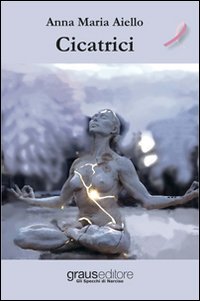 Immagine copertina libro Cicatrici