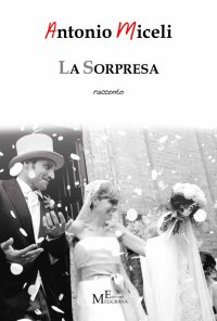 Immagine copertina libro La sorpresa
