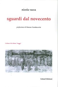 Immagine copertina libro Sguardi dal Novecento