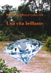 Immagine copertina libro Una vita brillante