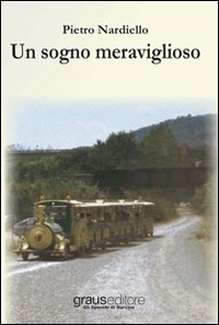 Immagine copertina libro Un sogno meraviglioso