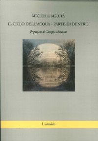 Immagine copertina libro Il ciclo dell'acqua. Parte di dentro