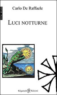 Immagine copertina libro Luci notturne