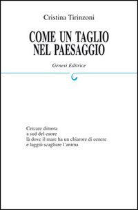 Immagine copertina libro Come un taglio nel paesaggio