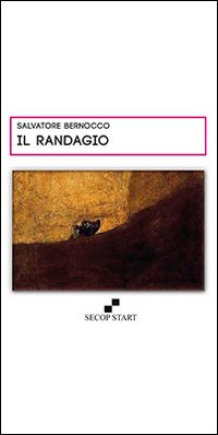 Immagine copertina libro Il randagio