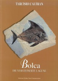 Immagine copertina libro Bolca. Die vesteinerte lagune