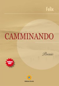 Immagine copertina libro Camminando