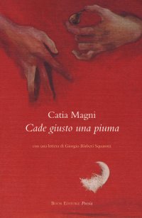 Immagine copertina libro Cade giusto una piuma