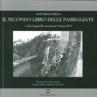 Immagine copertina libro Il secondo libro delle passaggiate e altre bagattelle narrate per l'anno 2014