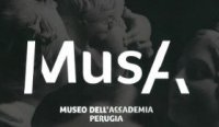 Immagine copertina libro Musa. Museo dell'Accademia Perugia