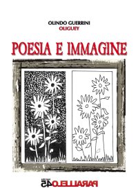 Immagine copertina libro Poesia e immagine